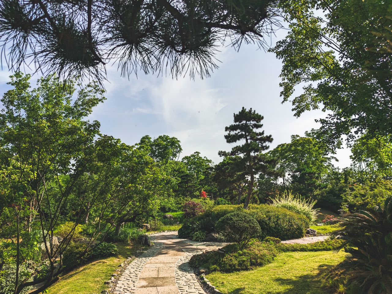A tranquil garden setting with a winding pathway surrounded by lush trees and shrubs under a clear sky.