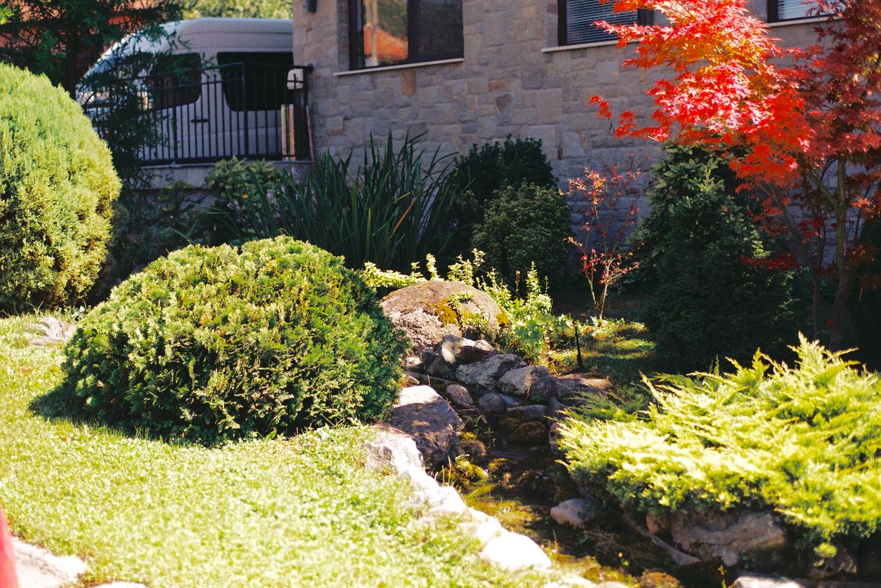 Services Serene garden featuring vibrant red leaves and lush greenery framing a stone pathway.