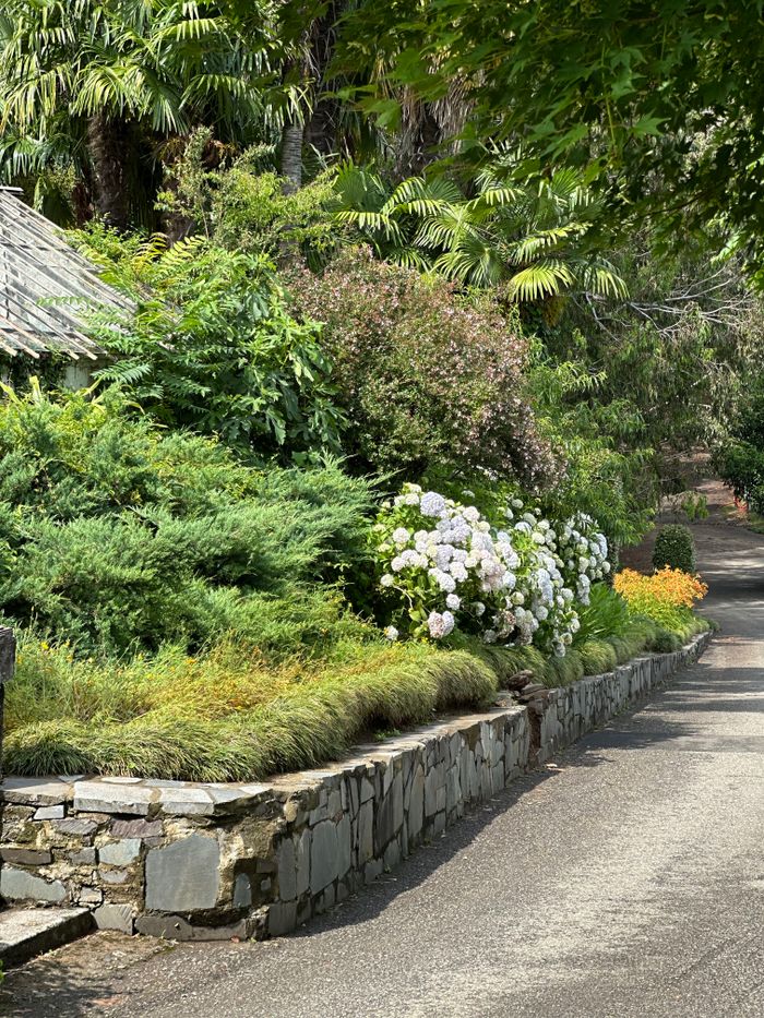 A serene garden pathway lined with lush greenery and colorful flowers.