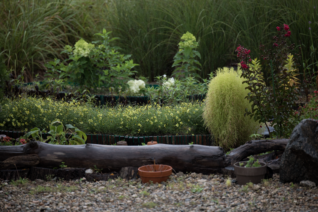 The Art of Drawing Readers In: Your attractive post title goes here Serene garden landscape with various plants, flowers, and decorative logs.