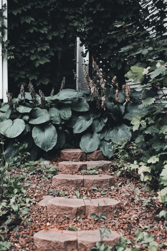 Mastering the First Impression: Your intriguing post title goes here A tranquil stone path surrounded by lush green plants in a garden setting.